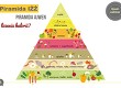 Webinarium Piramida Ajwen kontra IŻŻ, liczenie kalorii