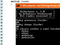 C++