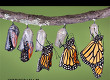 Fotografia cyfrowa w Photoshop CS5