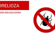 Webinarium Borelioza - choroba wieloukładowa